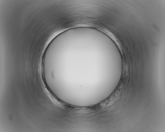 X0000110910811200907091435