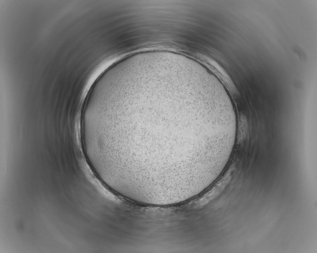 X0000110910812200907091435