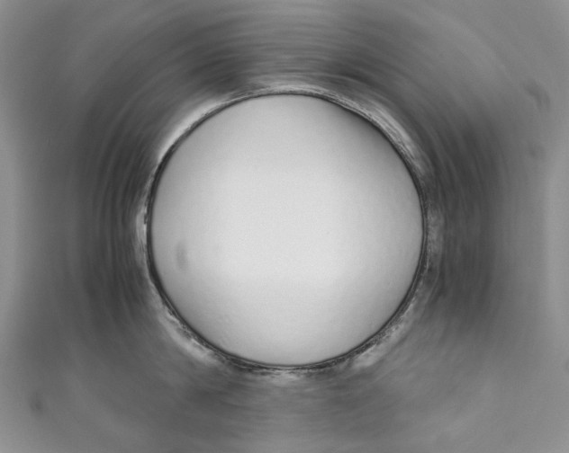 X0000110910814200907091435