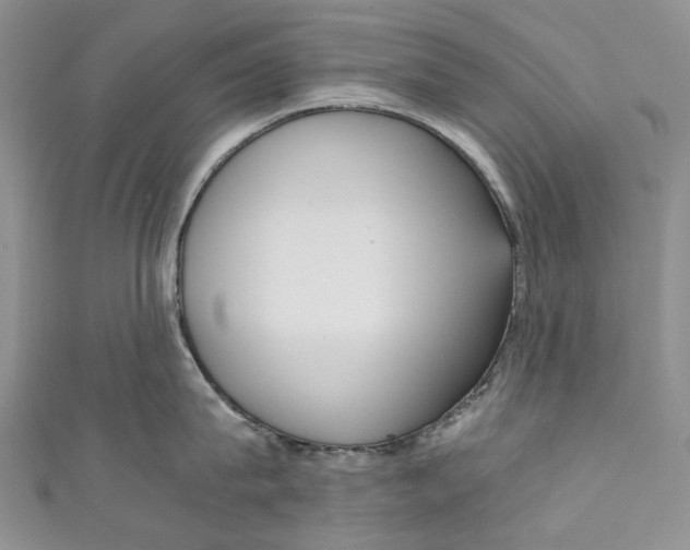 X0000110910815200907091435