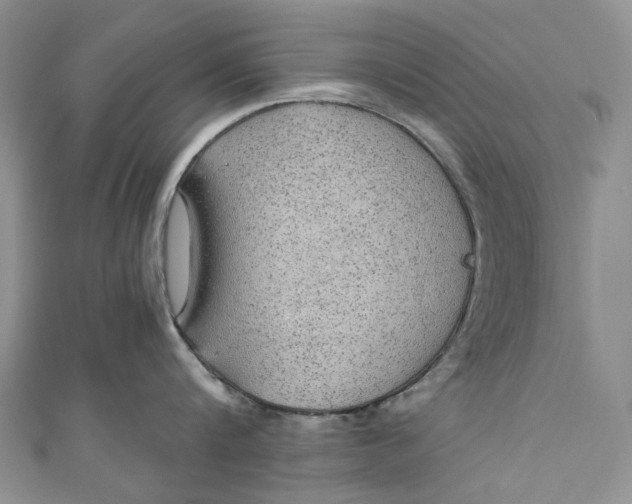 X0000110910816200907091435