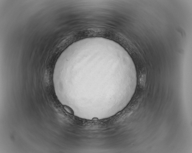 X0000110910819200907091434