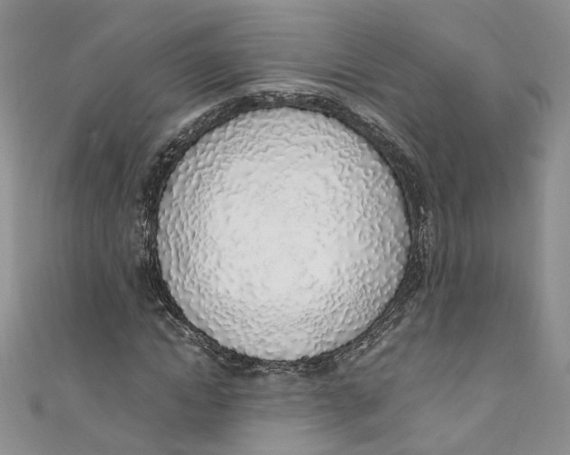 X0000110910822200907091434