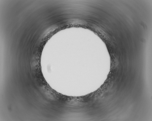 X0000110910824200907091434