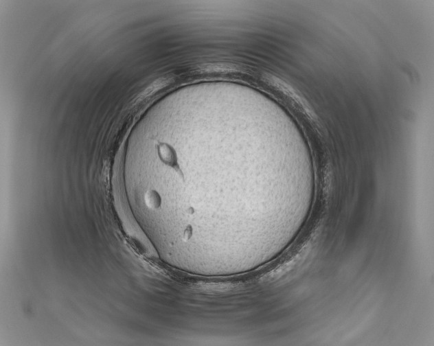 X0000110910825200907091434