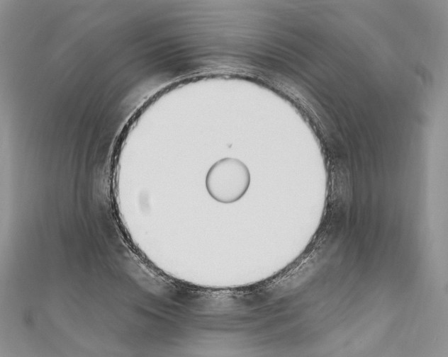 X0000110910828200907091434