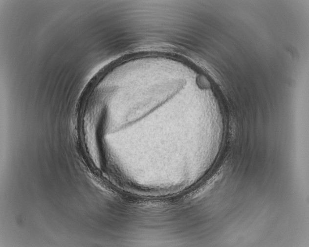 X0000110910830200907091434