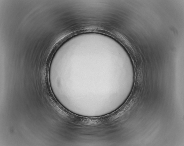 X0000110910831200907091434