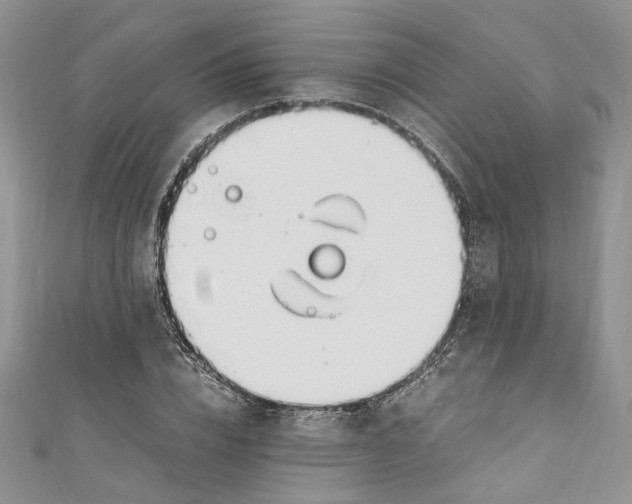 X0000110910832200907091434