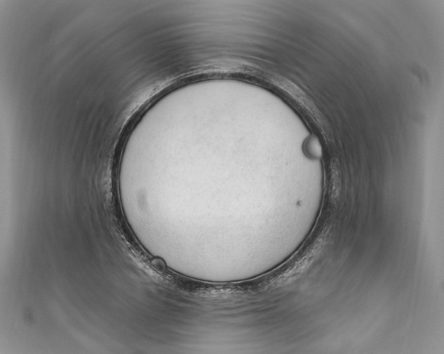 X0000110910834200907091434