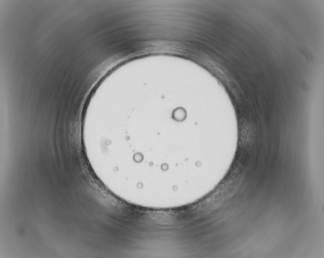 X0000110910836200907091434