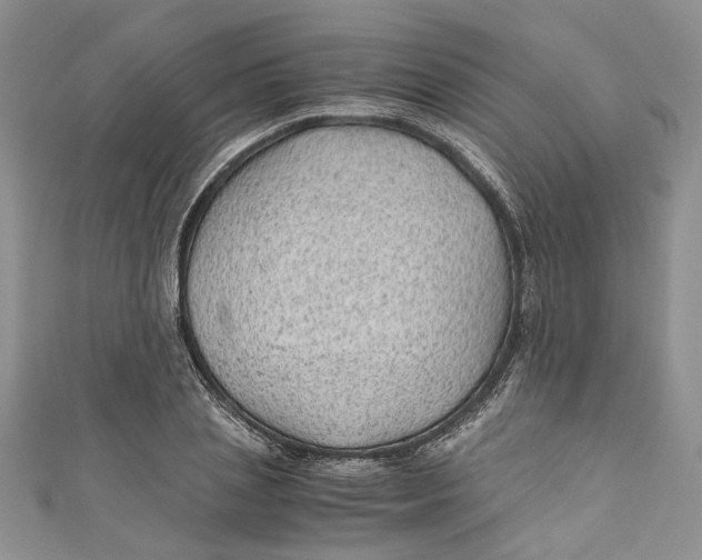 X0000110910837200907091434