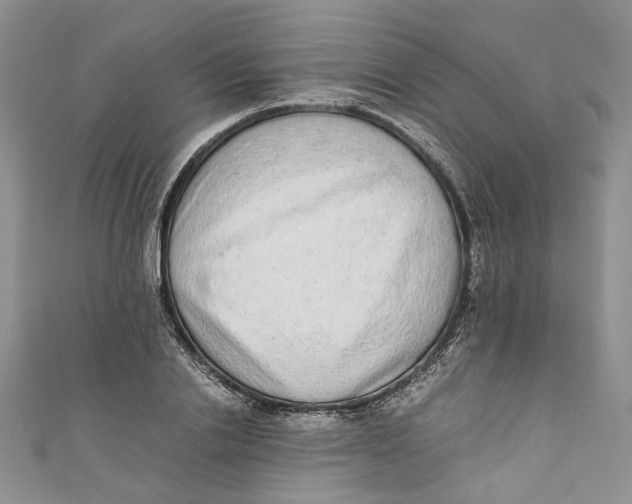 X0000110910838200907091434