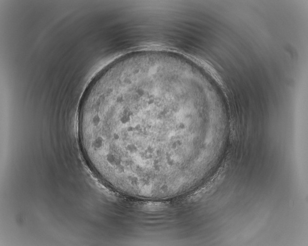 X0000110910839200907091435