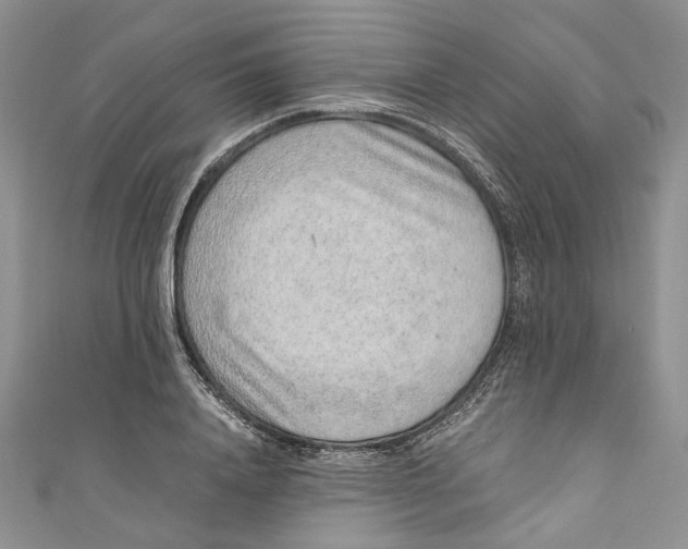 X0000110910840200907091435