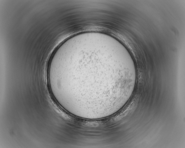 X0000110910843200907091435