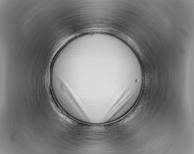 X0000110910844200907091435