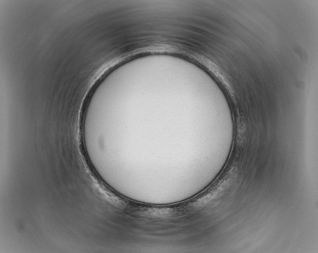 X0000110910845200907091435