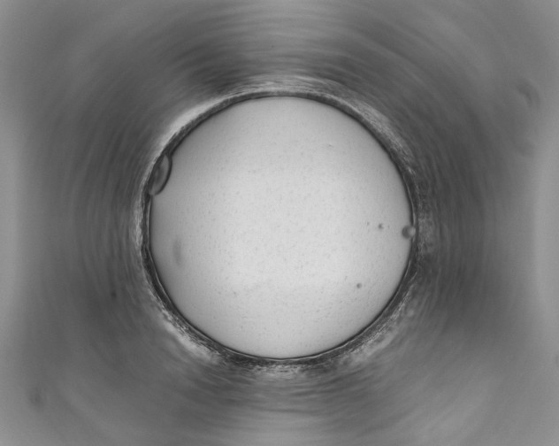 X0000110910846200907091435