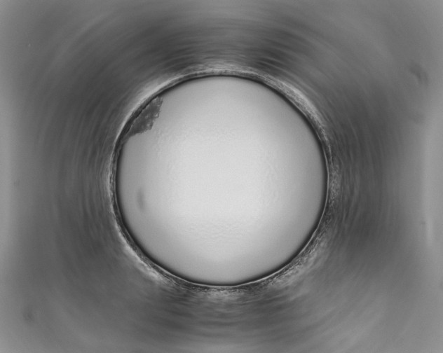 X0000110910847200907091435