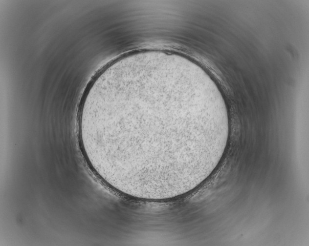 X0000110910848200907091435