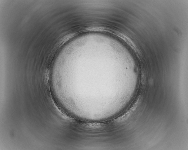 X0000110910849200907091435