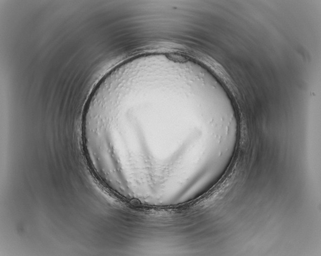 X0000110910850200907091435