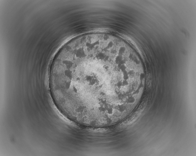 X0000110910851200907091435