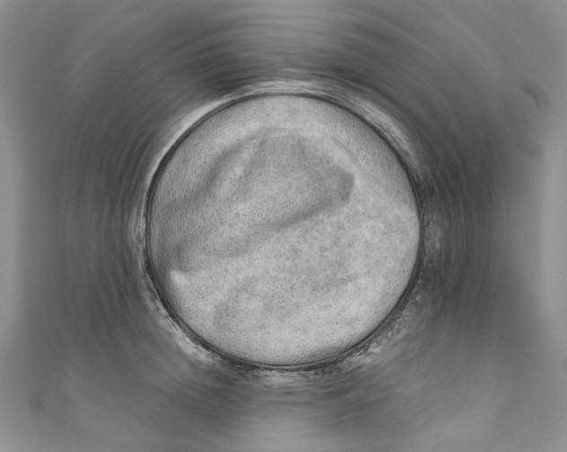 X0000110910852200907091435