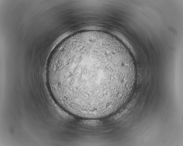 X0000110910853200907091435