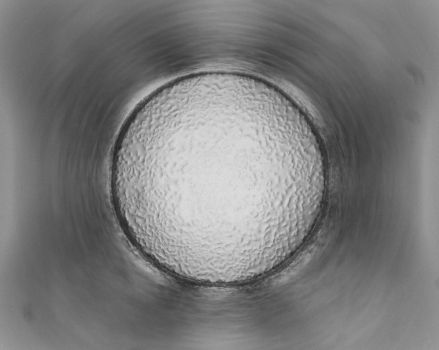 X0000110910854200907091435