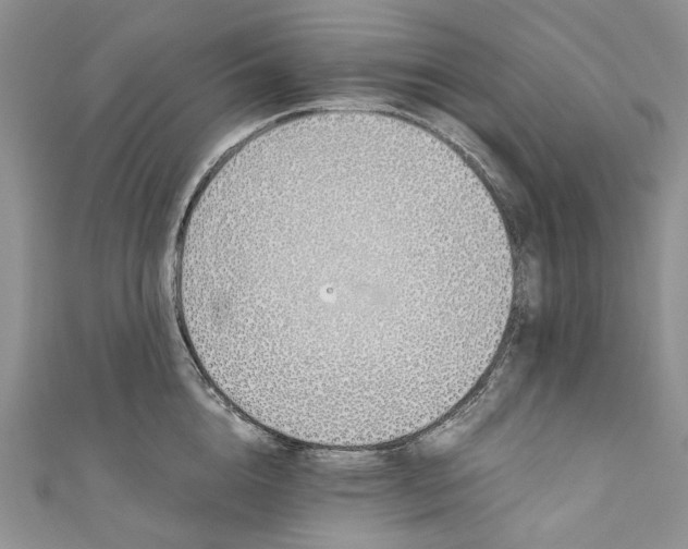 X0000110910856200907091435