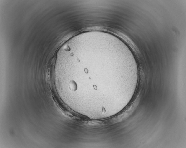 X0000110910857200907091435