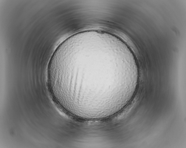 X0000110910858200907091435