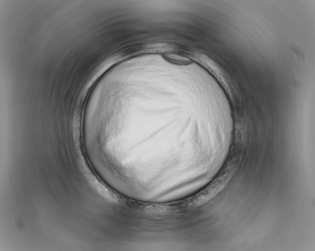 X0000110910859200907091435