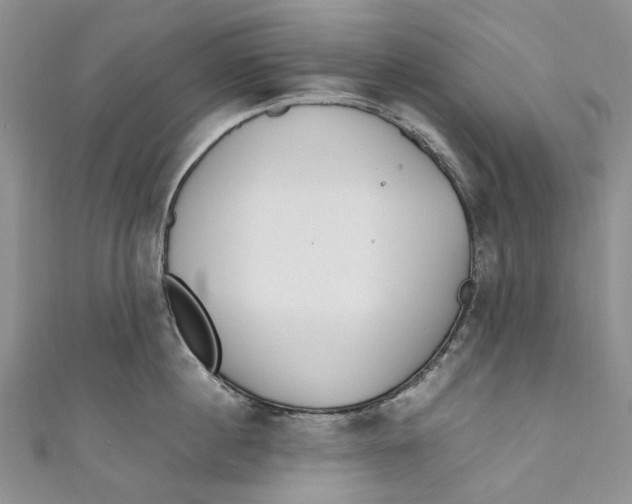 X0000110910860200907091435