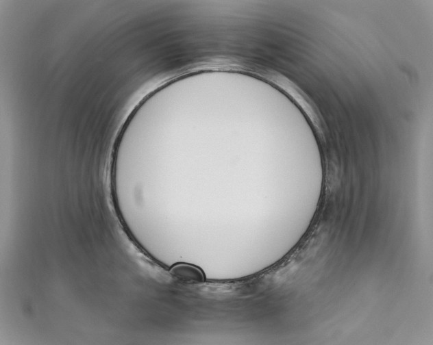 X0000110910861200907091435