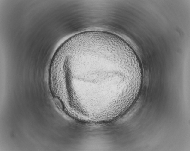 X0000110910862200907091435