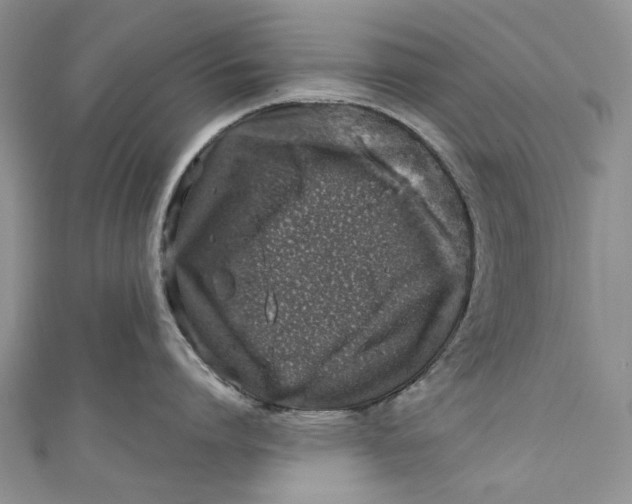 X0000110910864200907091435