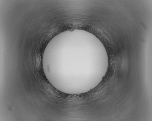 X0000110910866200907091434