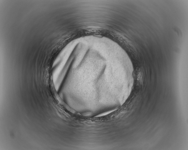 X0000110910868200907091434