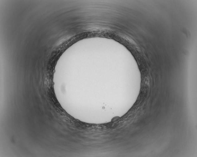 X0000110910869200907091434