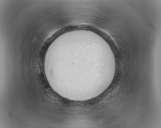 X0000110910871200907091434