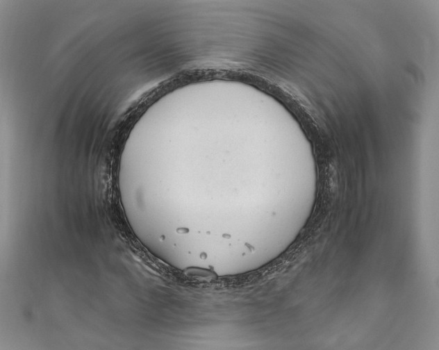 X0000110910872200907091434