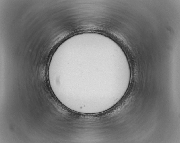 X0000110910873200907091434