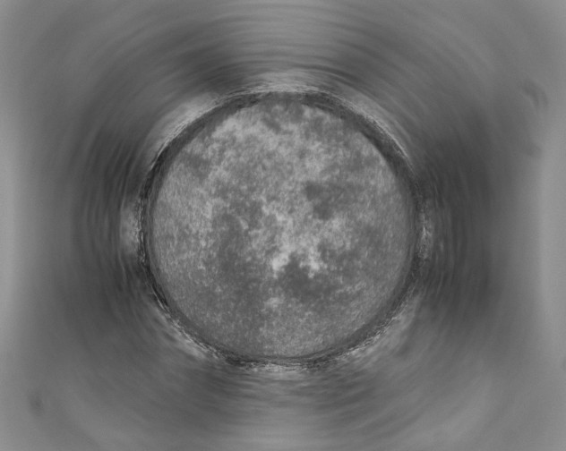 X0000110910874200907091434