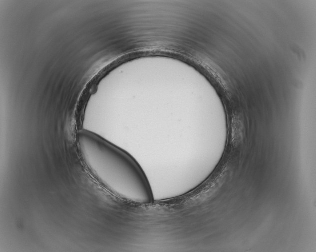 X0000110910876200907091434