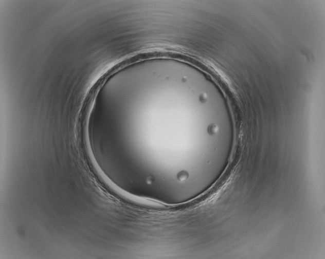 X0000110910877200907091434