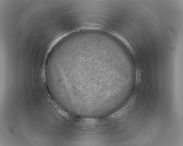 X0000110910878200907091434