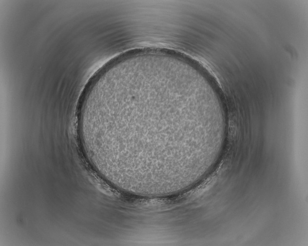 X0000110910879200907091434